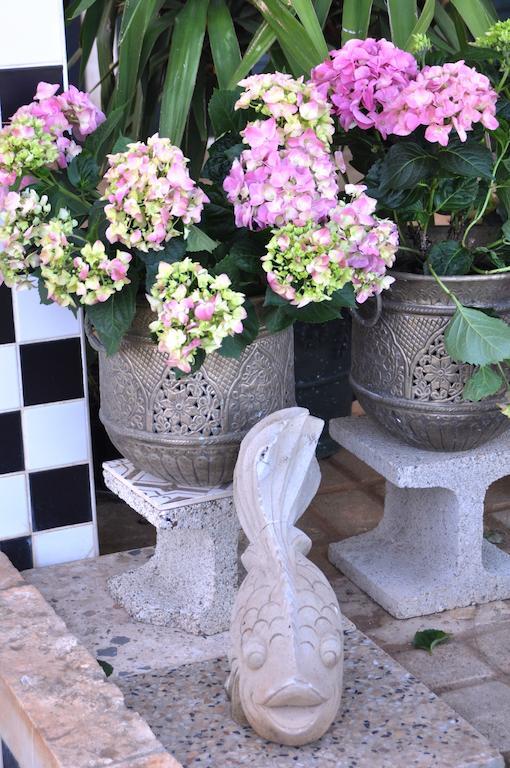 Bed & Breakfast Villa Lavanda Noci Exterior photo