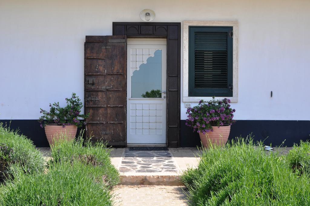 Bed & Breakfast Villa Lavanda Noci Exterior photo