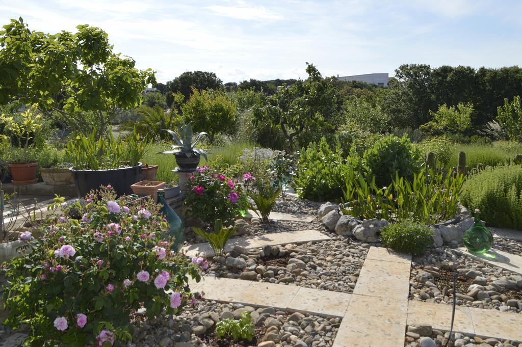 Bed & Breakfast Villa Lavanda Noci Exterior photo