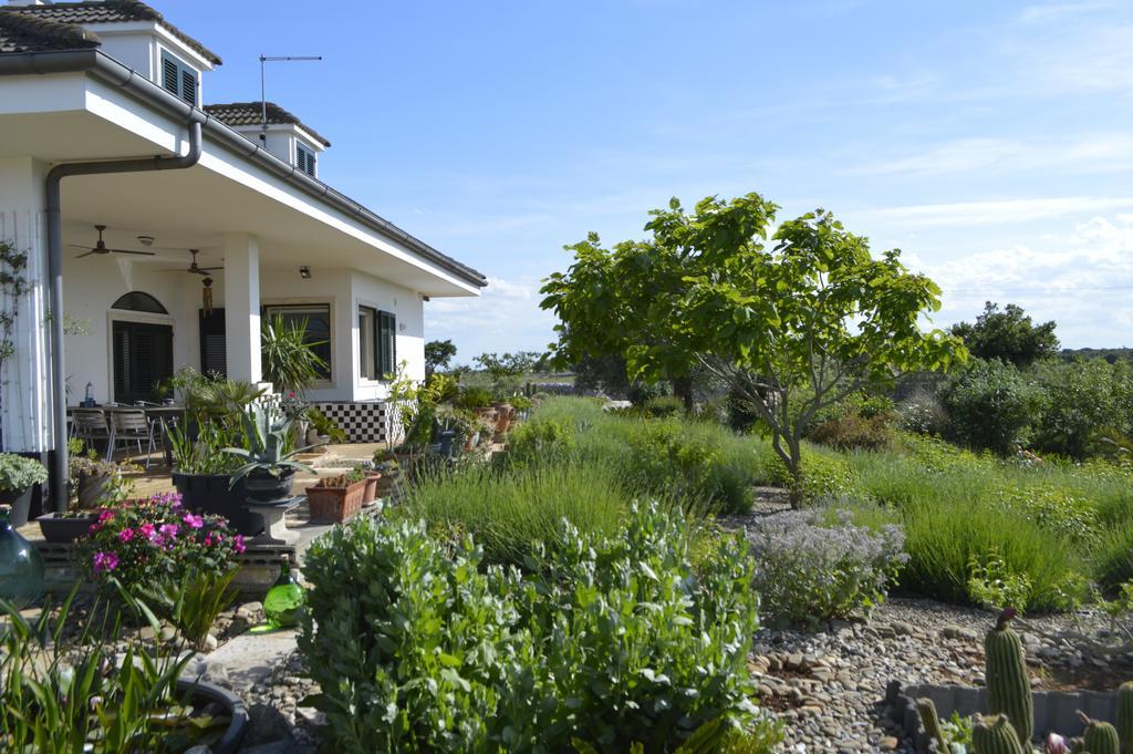 Bed & Breakfast Villa Lavanda Noci Exterior photo