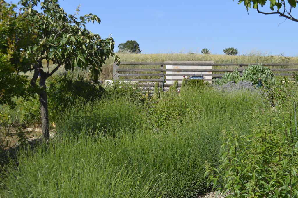 Bed & Breakfast Villa Lavanda Noci Exterior photo