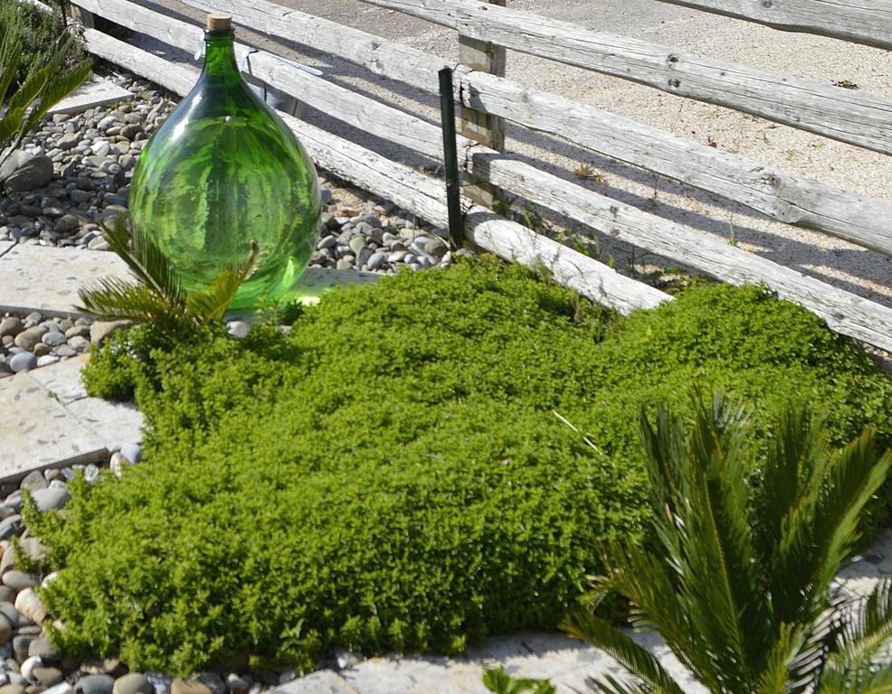 Bed & Breakfast Villa Lavanda Noci Exterior photo